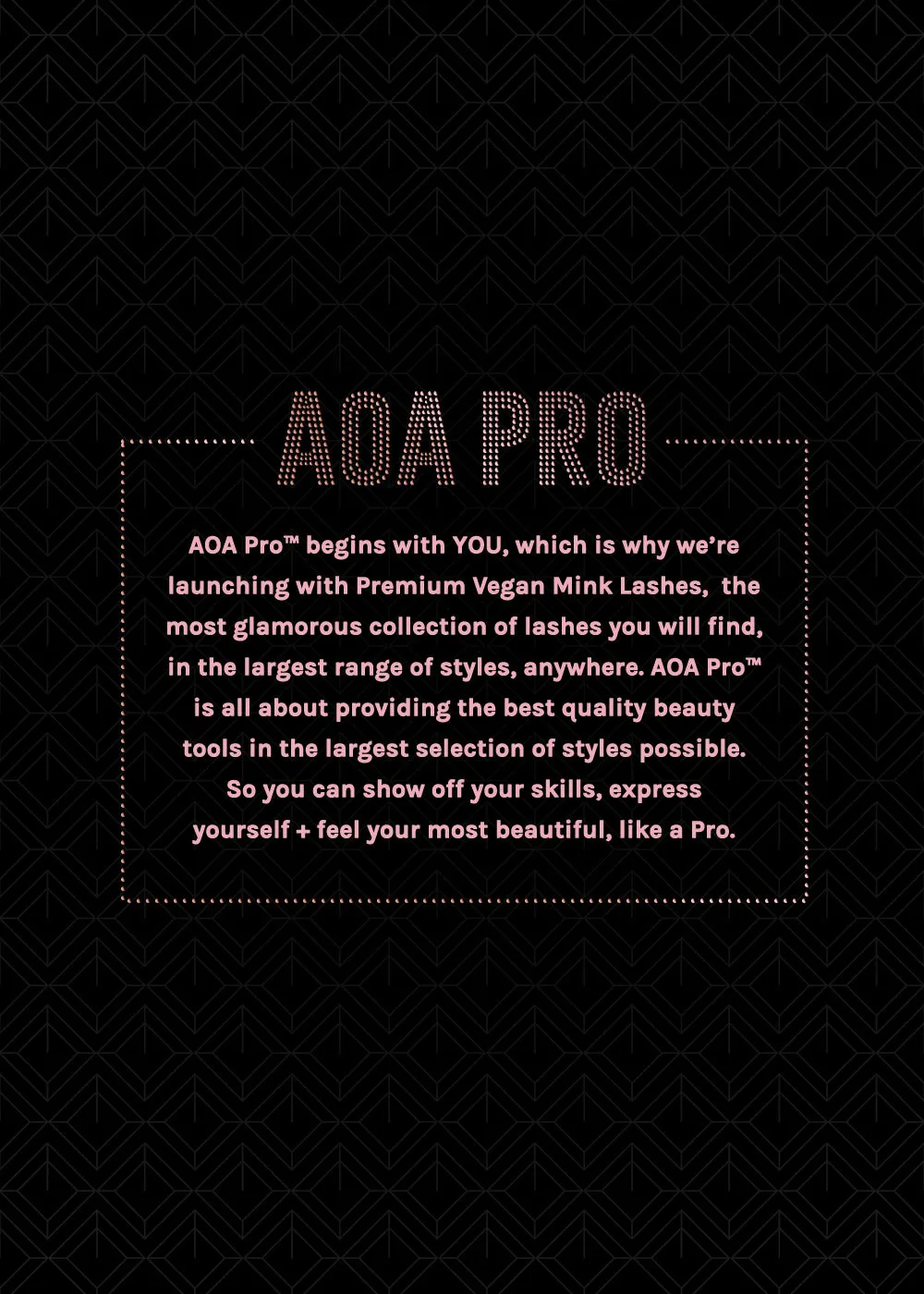 AOA Pro Magnetic Eyeshadow Palette - Black Large