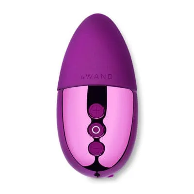 Le Wand Point Vibrator