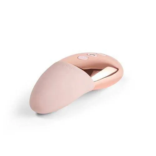 Le Wand Point Vibrator