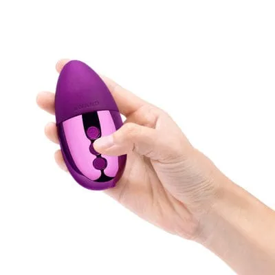 Le Wand Point Vibrator