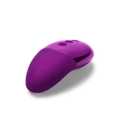 Le Wand Point Vibrator