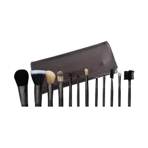 Pro Makeup Brush Set - 12 Piece